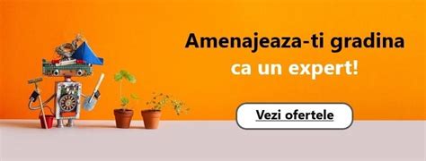 Okazii.ro: cele mai bune oferte (magazine si vanzatori profesionisti)